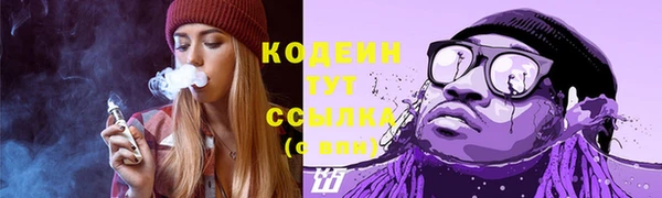 хмурый Сосновка