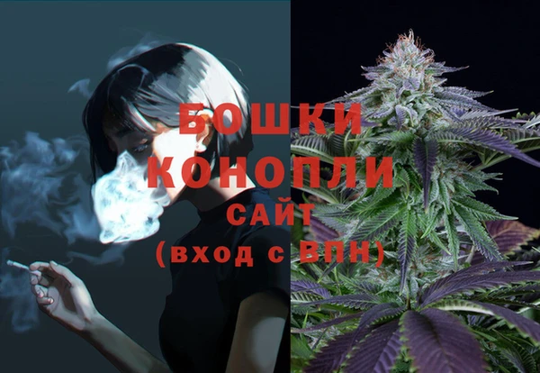 хмурый Сосновка