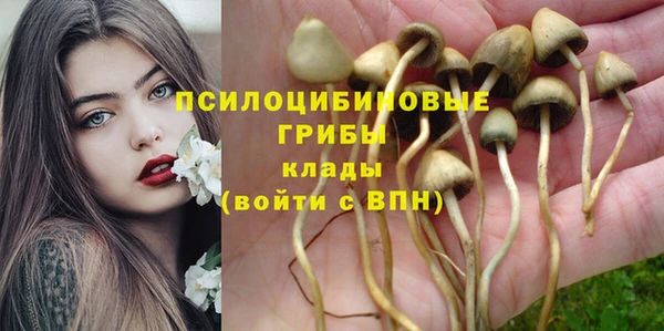 не бодяженный Бронницы