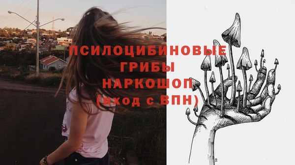 мескалин Бородино